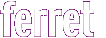 ferret 
