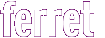 ferret 