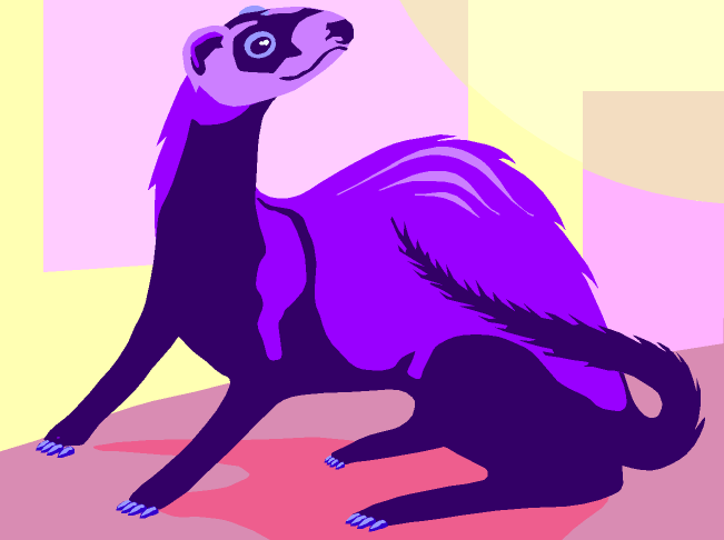 the purple ferret